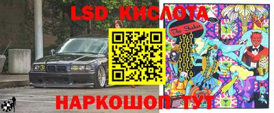 крисы Кулебаки
