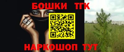 шишки Абинск