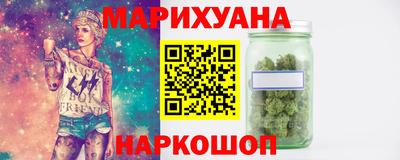 крисы Кулебаки