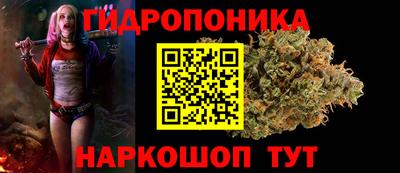 крисы Азнакаево