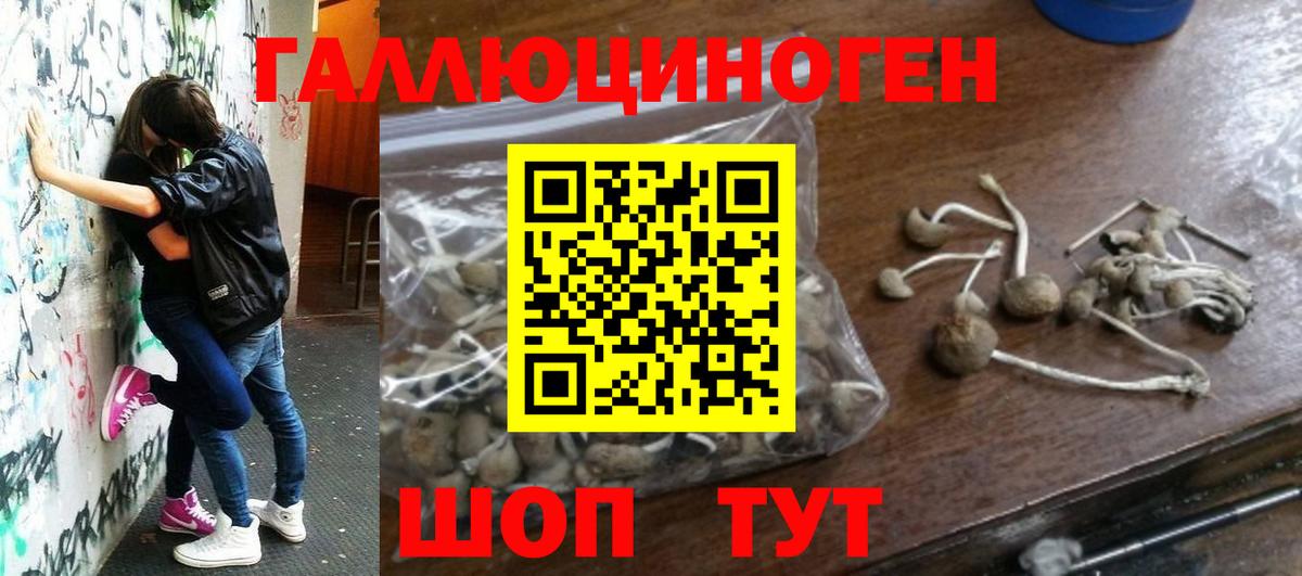 Галлюциногенные грибы Cubensis Дмитров