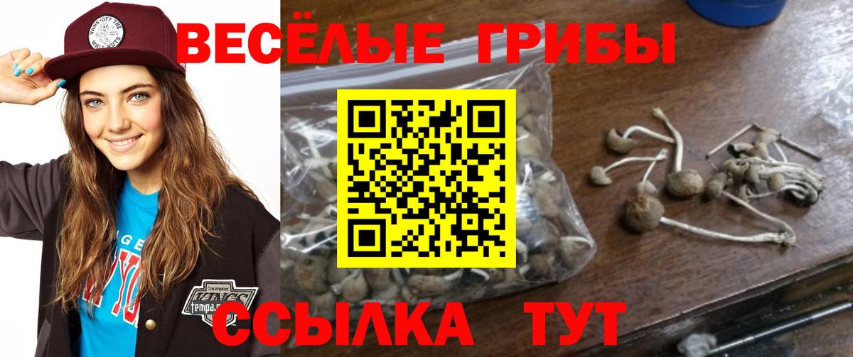 Псилоцибиновые грибы ЛСД  Вход с VPN  Дмитров 